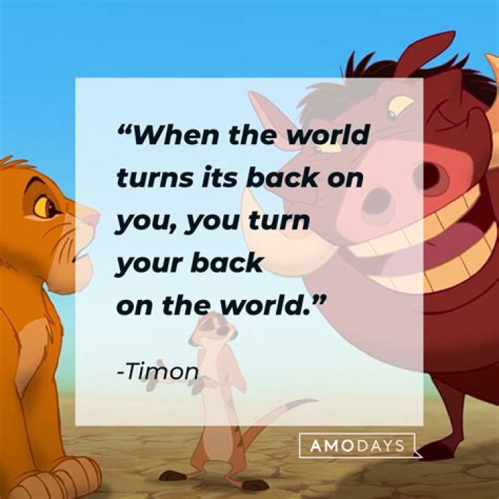 Timon Quotes
