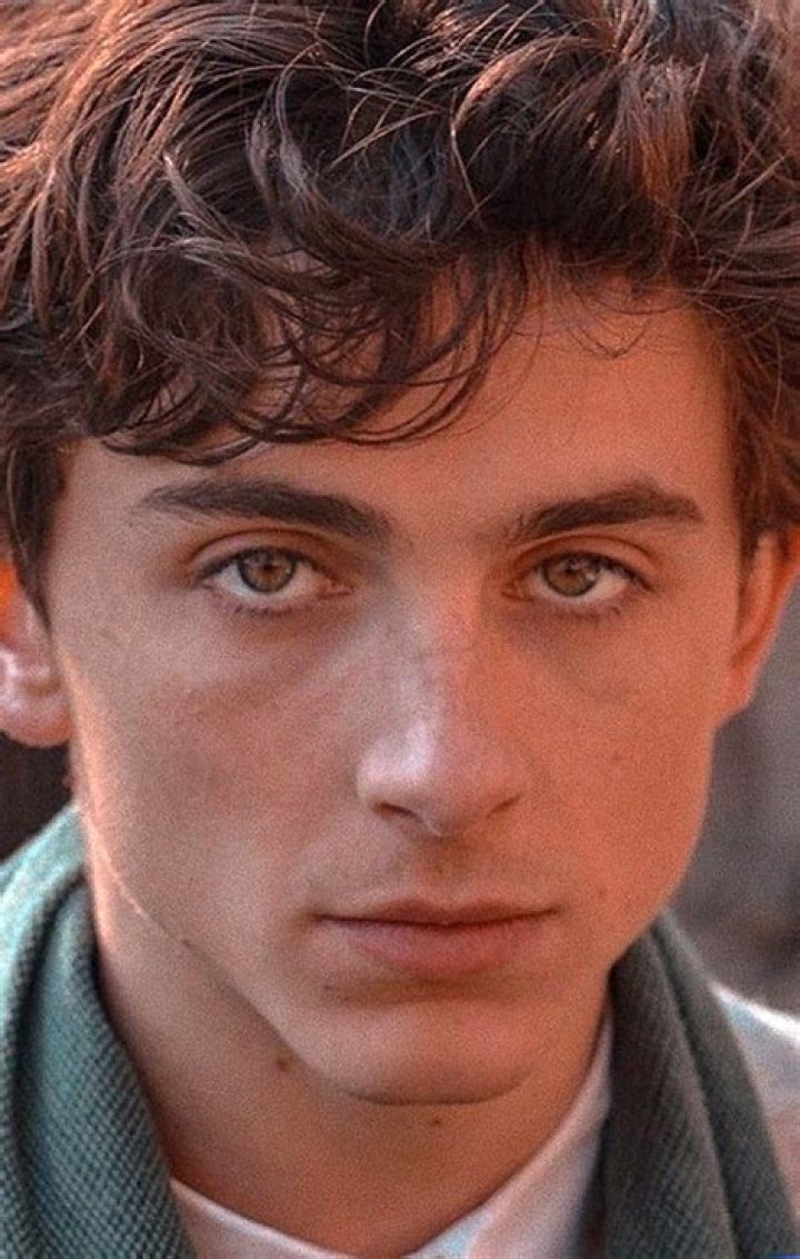 Timothee Chalamet Biography, Age, Wiki, Height, Weight, Girlfriend