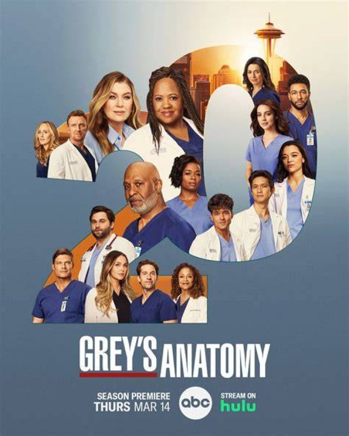 Tina Majorino's Impact On Grey's Anatomy: The Character Behind The Legacy