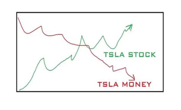 Tsla Stocktwits Long Term Tsla Bulls Still See More Pain Ahead By