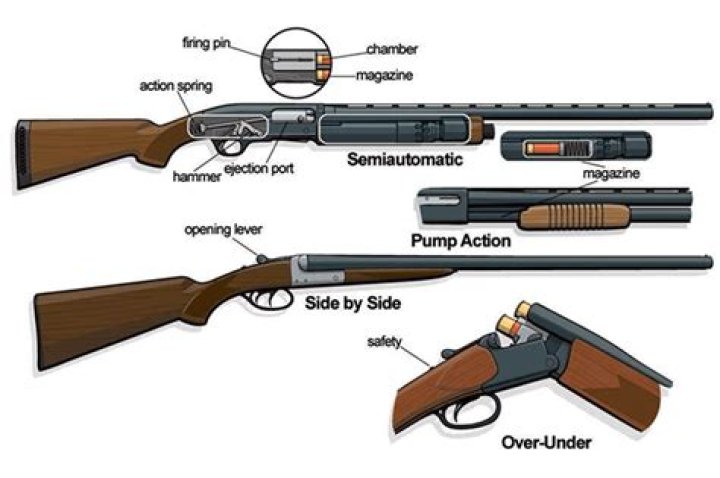 Types of Shotguns An Easy to Follow Guide