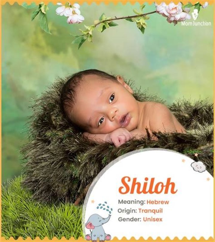Uncover The Meaning Of The Name Shiloh: Discover Its Unique Significance