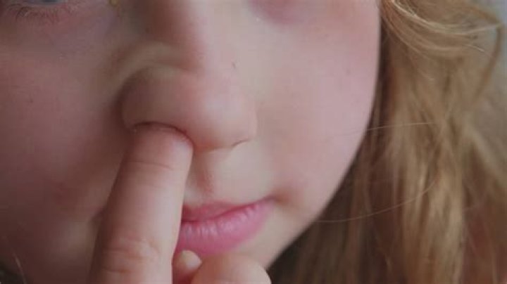 Uncovering The Link: Picking Nose And Dementia | Reddit Discussions