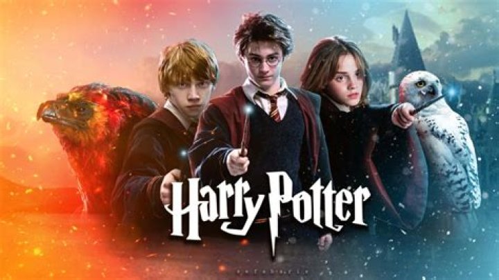 Understanding Harry Potter's Age In The Fourth Movie