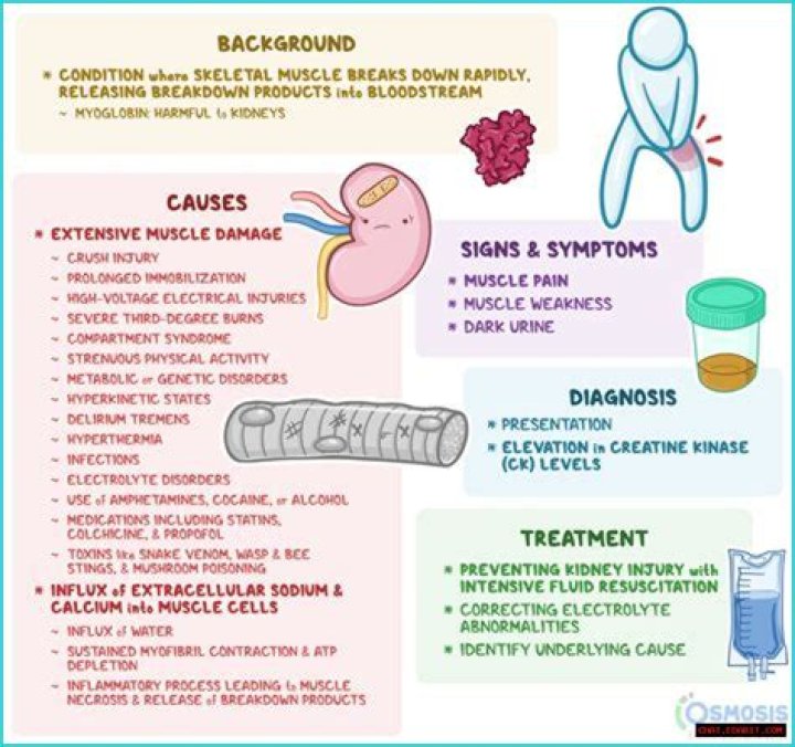 Understanding Hasbulla Disease: The Unique Condition Behind A Viral Sensation