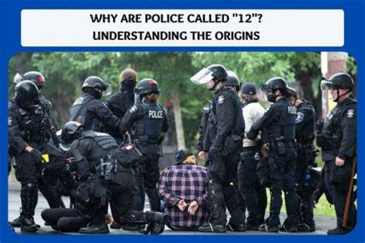 Understanding The 12 Police Meaning: A Comprehensive Guide