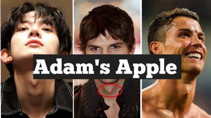 Understanding The Adam Apple: More Than Just A Feature