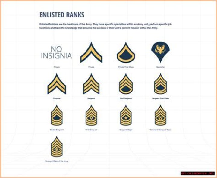 Understanding The Army Ranks List: A Comprehensive Guide