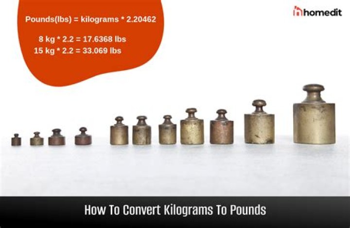 Understanding The Conversion: 1.2 Kg To Pounds