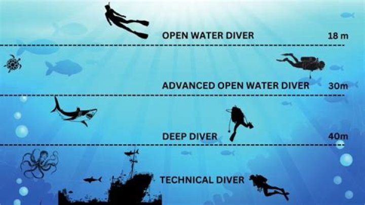 Understanding The Lank Meaning: A Deep Dive Into Its Significance
