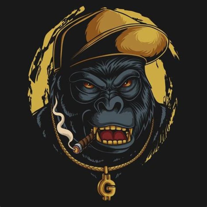 Unleashing The Beats: The Rise Of Gorilla Hip Hop
