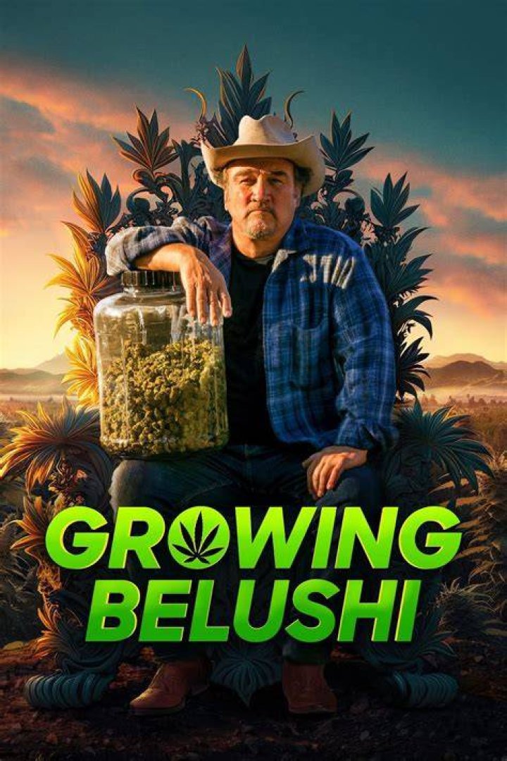 Unleashing The Charm: Growing Belushi
