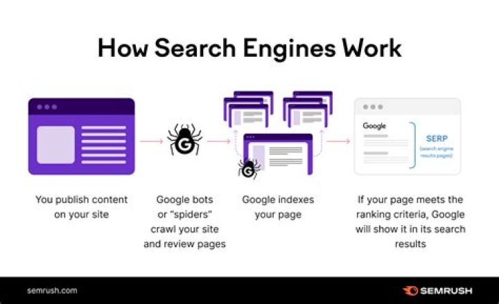 Unlocking The Power Of A Search Engine Rankings API