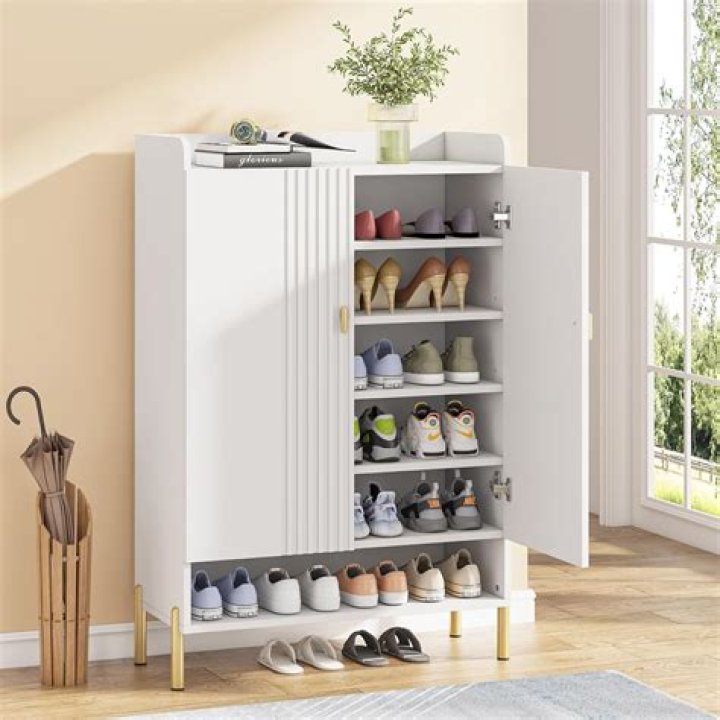 Unlocking The Trend: The Viral Shoe Cabinet Phenomenon