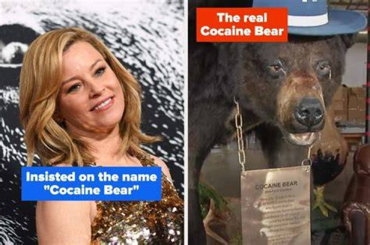 Unpacking The Phenomenon: The Cocaine Bear Meme