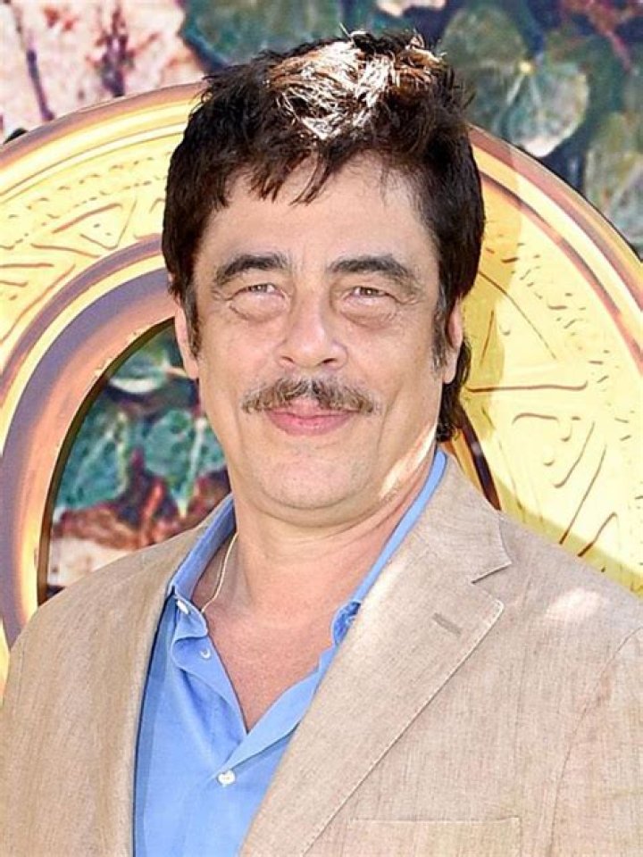 Unraveling The Connection: Is Benicio Del Toro Related To Guillermo Del Toro?
