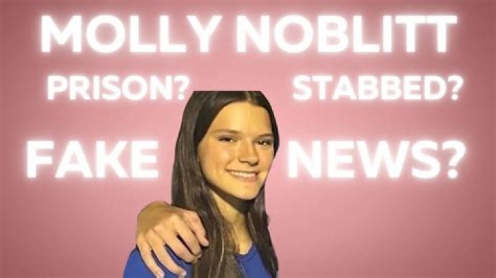 Unraveling The Controversy: Did Molly Noblitt Go To Jail For Bullying?
