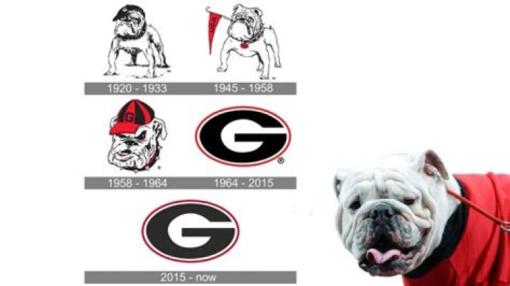 Unraveling The Fascinating History Of Bulldogs