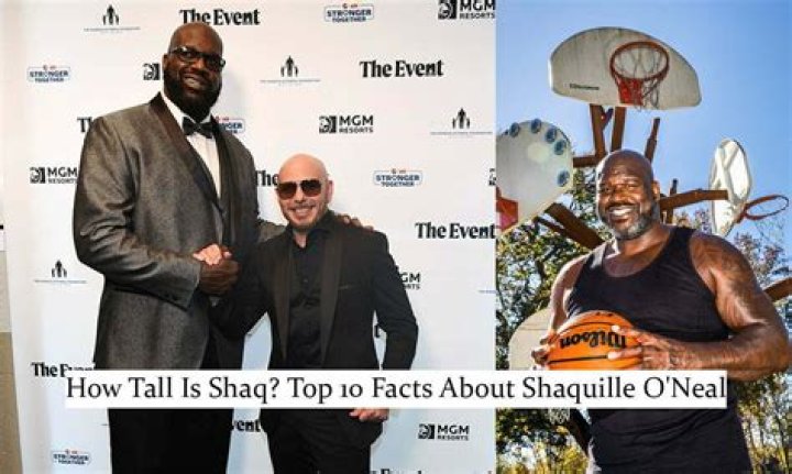 Unraveling The Height Of Shaquille O'Neal: The Shaq Celebheights Phenomenon