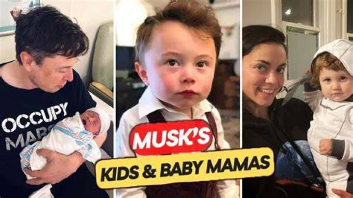 Unraveling The Lives Of Drake's Baby Mommas