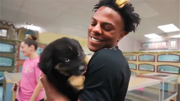 Unraveling The Mystery: Did IShowSpeed's Dog Die?