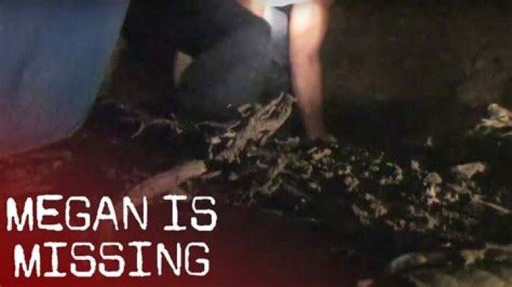 Unraveling The Mystery Of Missing Megan