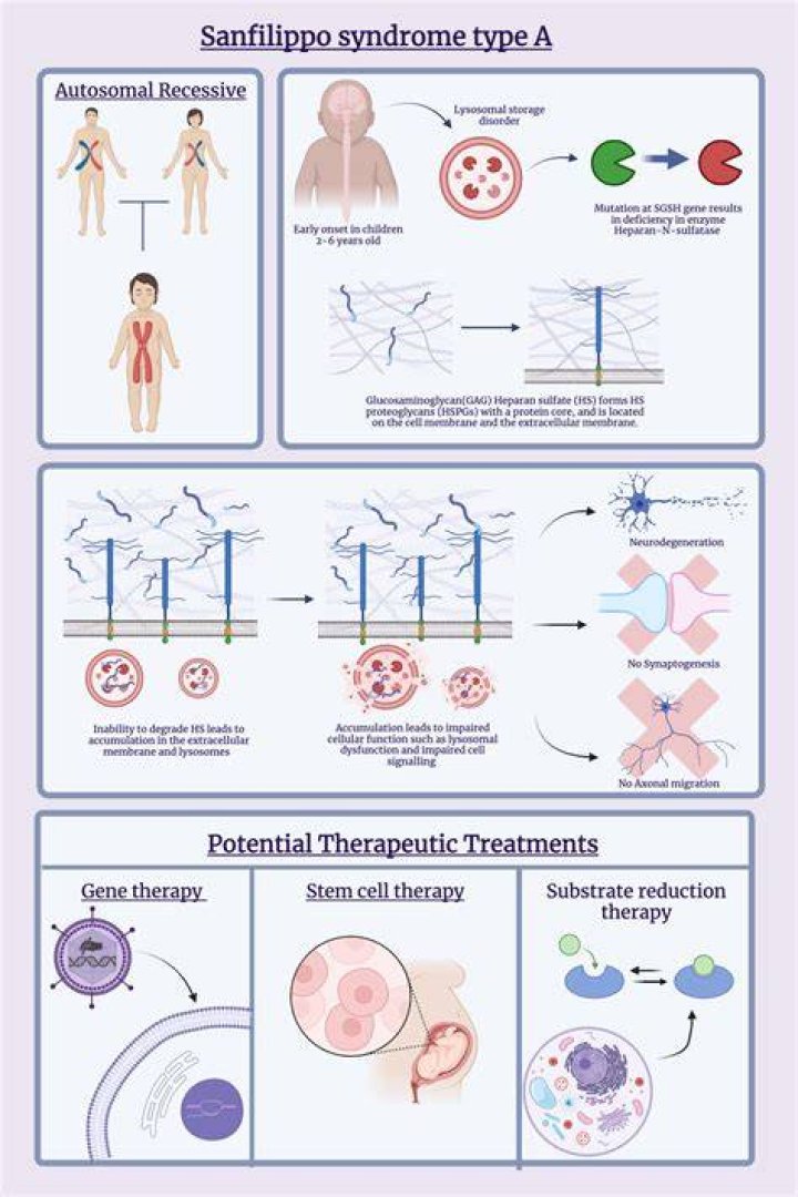 Unraveling The Mystery Of Sanfilippo Syndrome: The Connection To Jonny Lee Miller