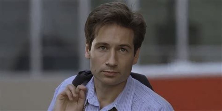 Unveiling David Duchovny's Height: A Closer Look At The Iconic Actor