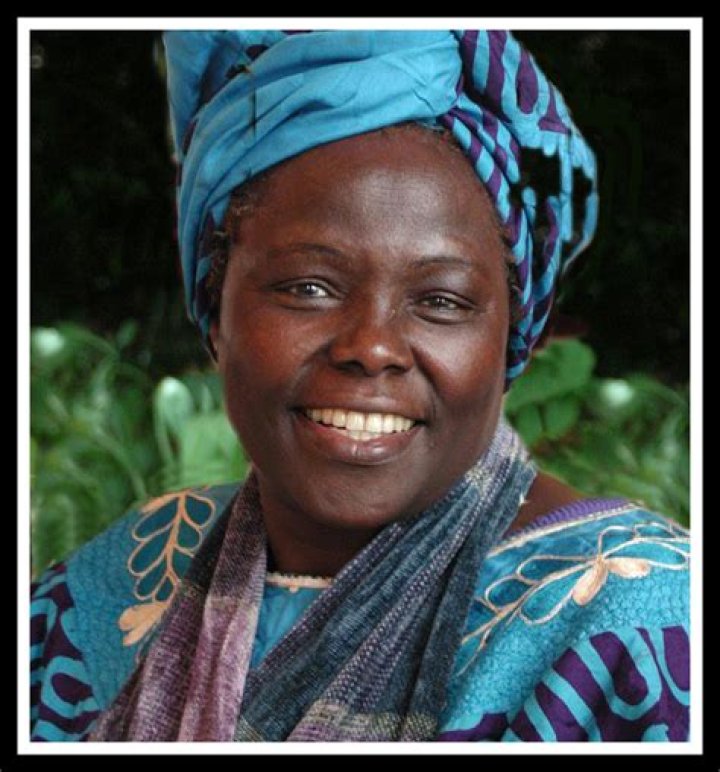 Unveiling The Life And Achievements Of Daniel Kiviat