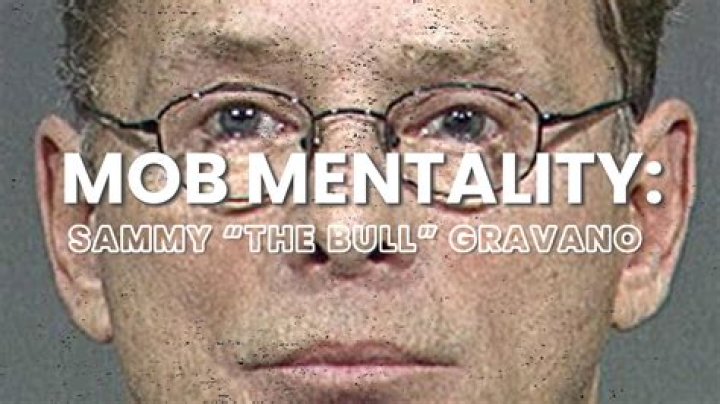 Unveiling The Life And Times Of Sammy The Bull