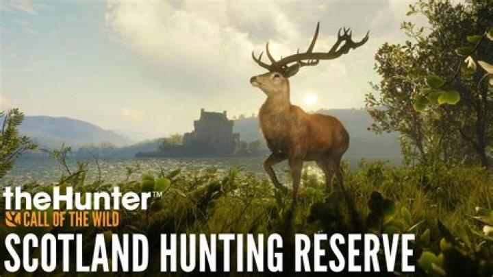 Unveiling The Mystery Of Wild Things: An IMDb Exploration