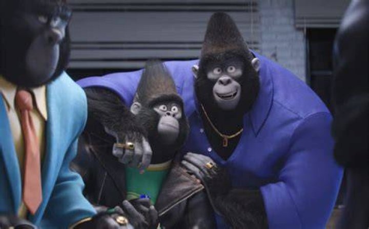 Unveiling The Roots: Where Is Gorilla From The Rapper?
