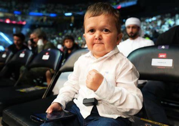 Unveiling The Weight Of Hasbulla Magomedov