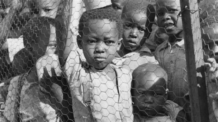 Unveiling The World Of Helena Vestergaard's Children