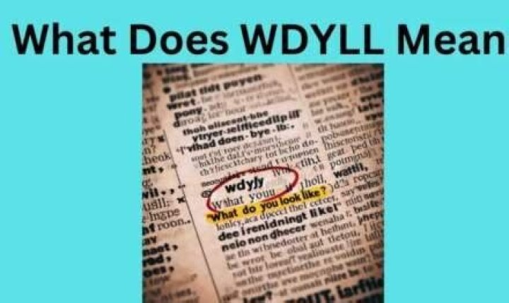 WDYLL &raquo; What does WDYLL mean? &raquo;