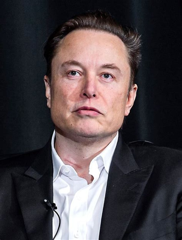 Wealth of Elon Musk Wikipedia
