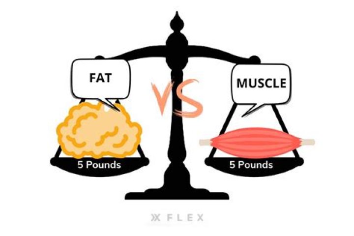 What Does 5 Pounds of Fat Look Like? The Surprising Answer
