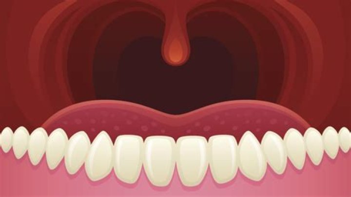 What Does That Dangly Thing in the Back of Your Throat Do? Mental Floss