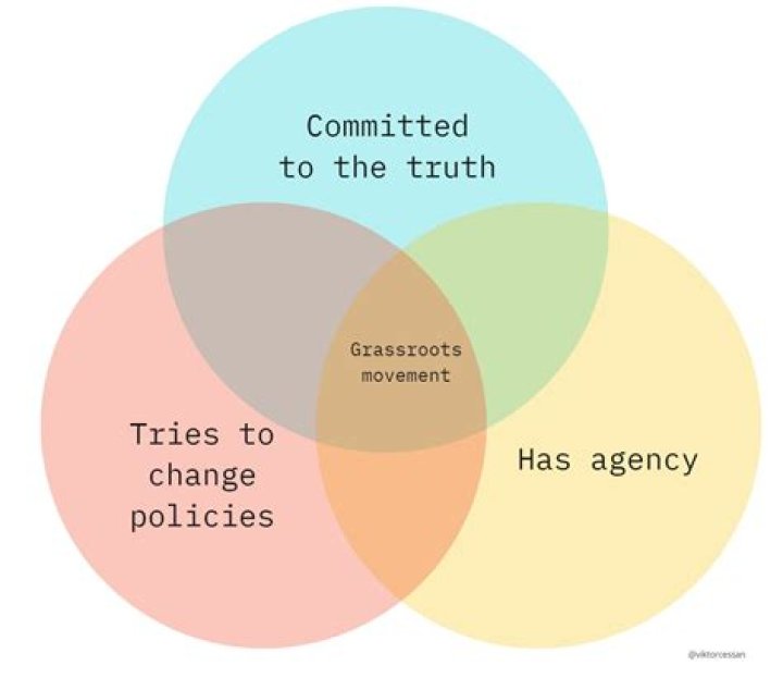 What Is a Grassroots Movement? Definition and Examples