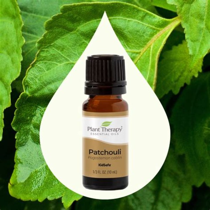 What Is Patchouli Essential Oil? Benefits, Uses, And Side Effects