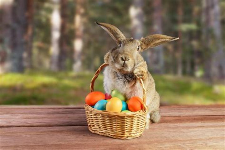 When does the Easter Bunny come? Story behind the famous rabbit we