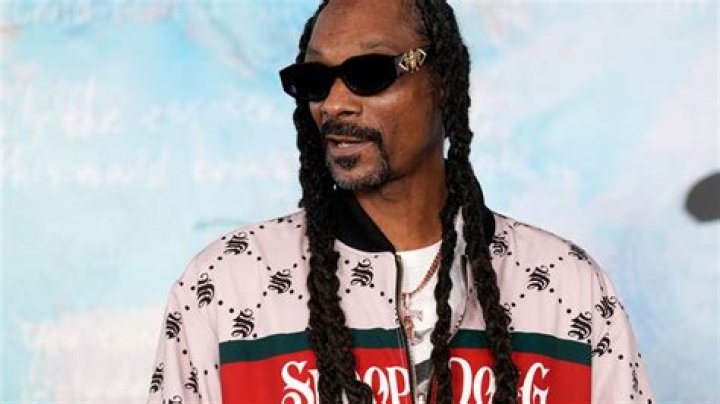 When The Smoke Clears: The Unfolding Story Of Snoop Dogg's Arrest