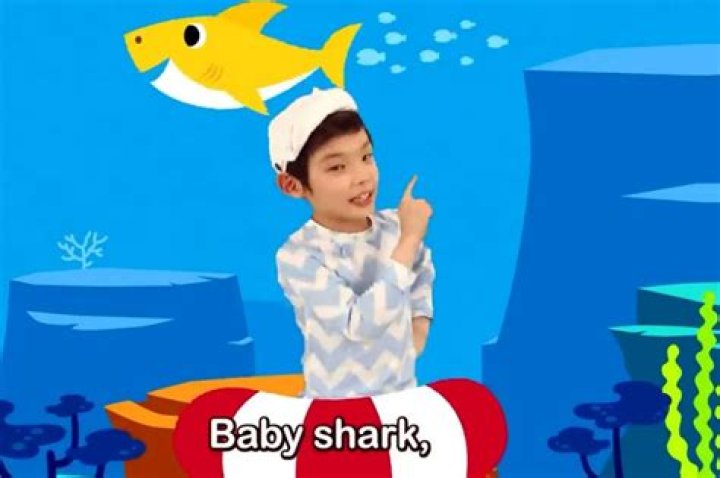 Where are the Baby Shark kids now? The US Sun