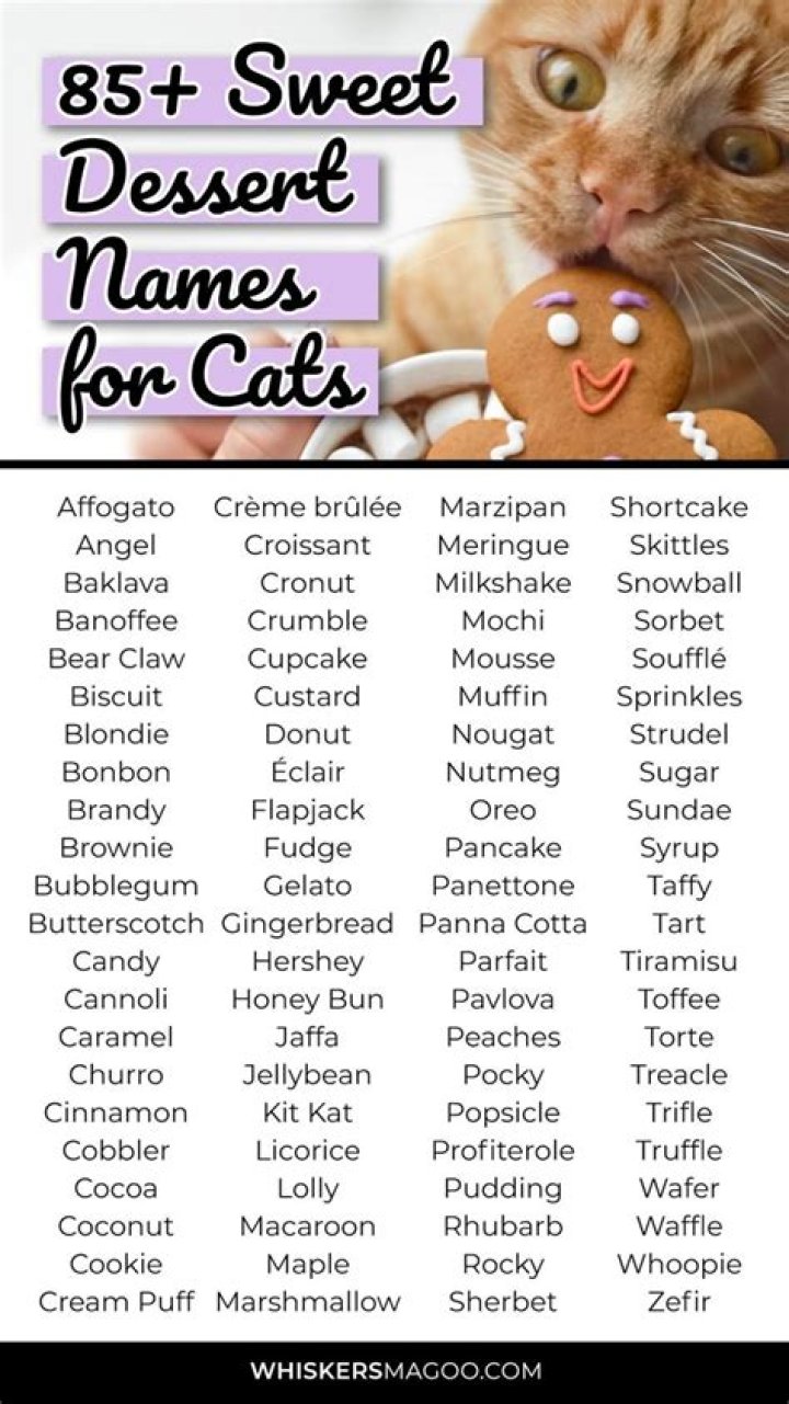 Whimsical Delights: Exploring The World Of Cute Food Names
