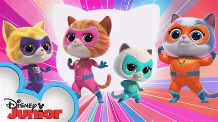 Whiskers And Wonders: The Enchanting World Of Cat Kitty Cat Kitty Cat