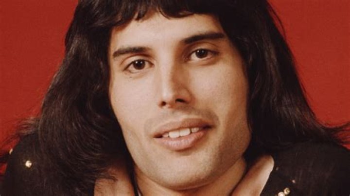 Who Inherited Freddie Mercury's Fortune? Did Freddie Have Children?