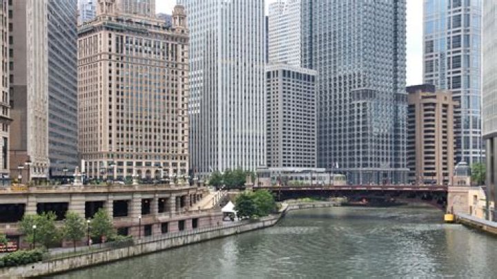 Who Is in the Chicago P.D. Cast? Every Actor In Season 11 NBC Insider