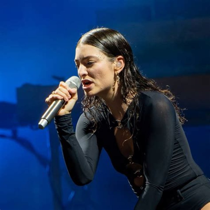 Who Is Lorde's Boyfriend? All About Justin Warren