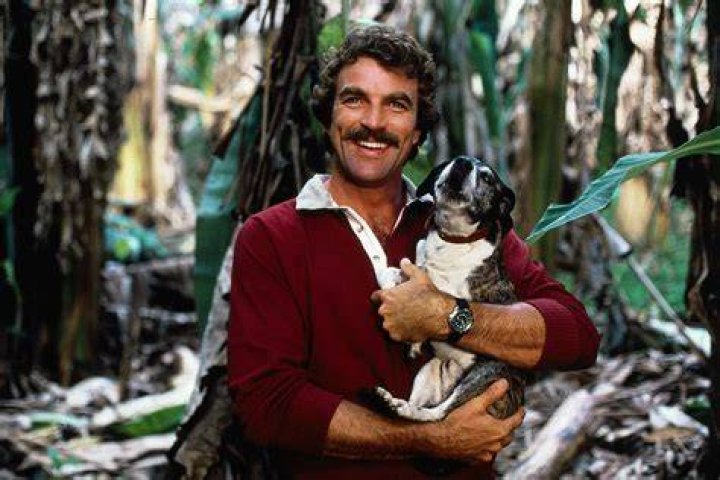Who Is Tom Selleck's Wife? Meet His Second Spouse Jillie Mack