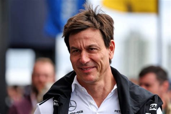 Who is Toto Wolff's First Wife? Mercedes Team Principal Explains His
